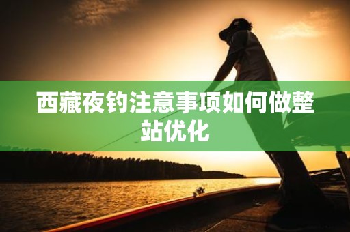 西藏夜钓注意事项如何做整站优化