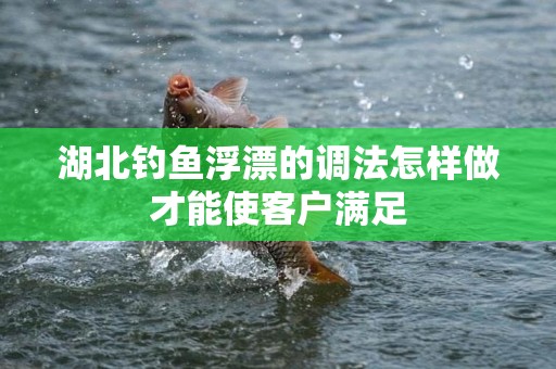 湖北钓鱼浮漂的调法怎样做才能使客户满足