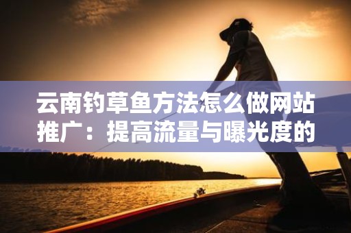 云南钓草鱼方法怎么做网站推广：提高流量与曝光度的有效策略