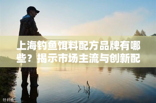 上海钓鱼饵料配方品牌有哪些？揭示市场主流与创新配方