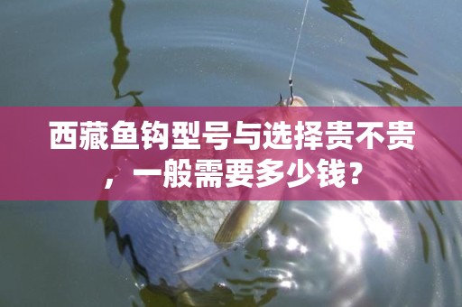 西藏鱼钩型号与选择贵不贵，一般需要多少钱？