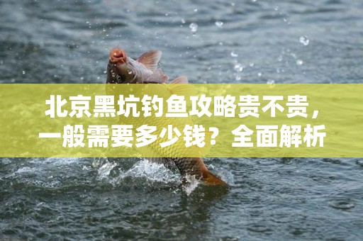 北京黑坑钓鱼攻略贵不贵，一般需要多少钱？全面解析与指南