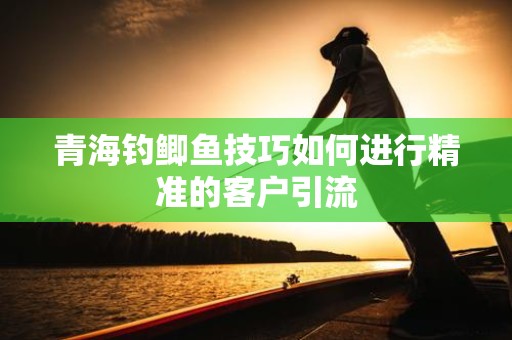 青海钓鲫鱼技巧如何进行精准的客户引流