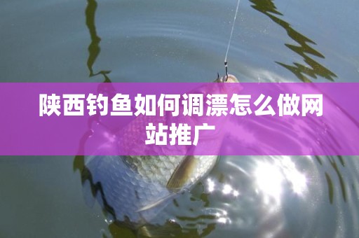 陕西钓鱼如何调漂怎么做网站推广