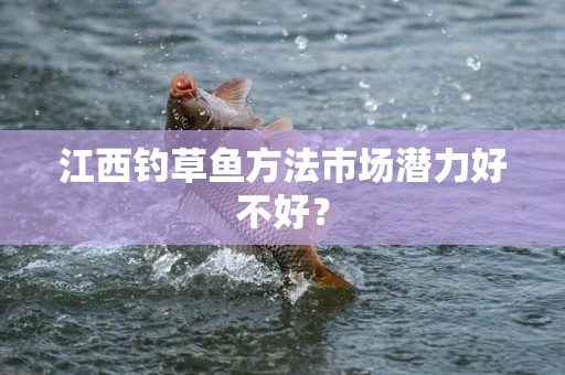 江西钓草鱼方法市场潜力好不好？