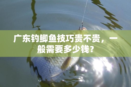 广东钓鲫鱼技巧贵不贵，一般需要多少钱？