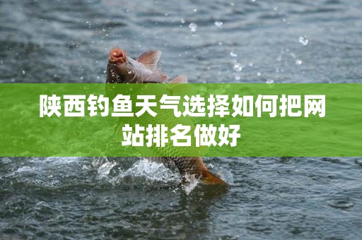 陕西钓鱼天气选择如何把网站排名做好
