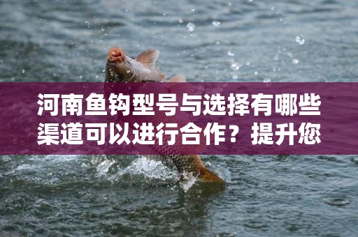 河南鱼钩型号与选择有哪些渠道可以进行合作？提升您的钓具市场策略