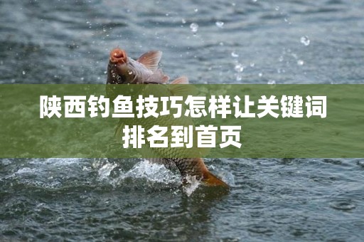 陕西钓鱼技巧怎样让关键词排名到首页