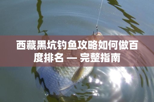 西藏黑坑钓鱼攻略如何做百度排名 — 完整指南