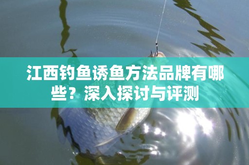 江西钓鱼诱鱼方法品牌有哪些？深入探讨与评测