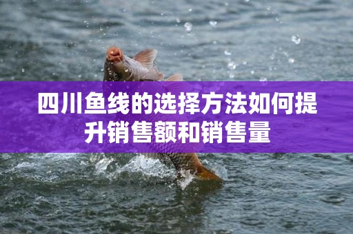 四川鱼线的选择方法如何提升销售额和销售量