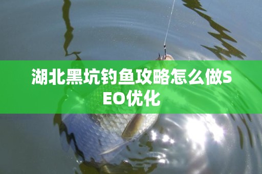 湖北黑坑钓鱼攻略怎么做SEO优化