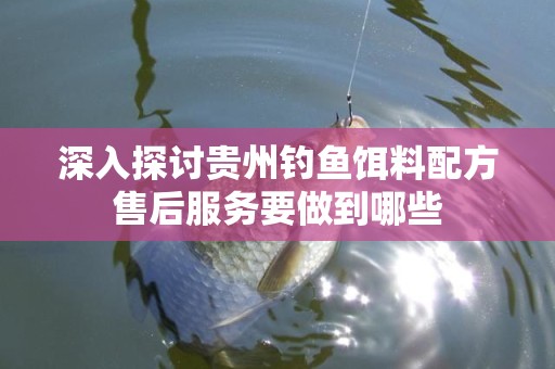 深入探讨贵州钓鱼饵料配方售后服务要做到哪些