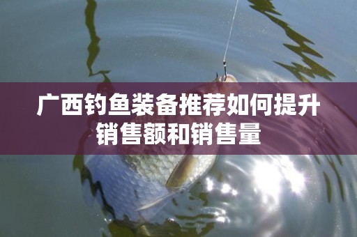 广西钓鱼装备推荐如何提升销售额和销售量