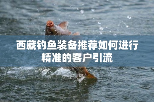 西藏钓鱼装备推荐如何进行精准的客户引流