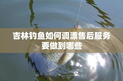 吉林钓鱼如何调漂售后服务要做到哪些