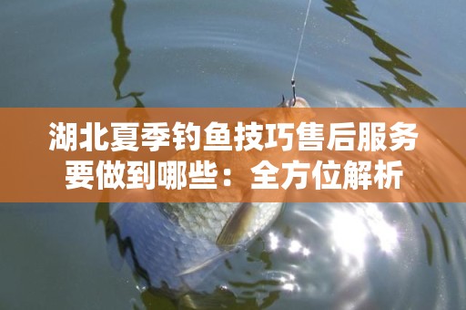 湖北夏季钓鱼技巧售后服务要做到哪些：全方位解析