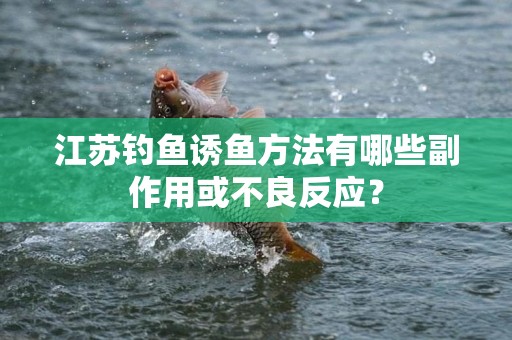 江苏钓鱼诱鱼方法有哪些副作用或不良反应？