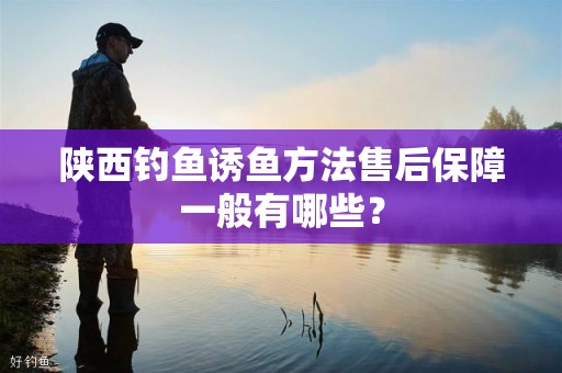 陕西钓鱼诱鱼方法售后保障一般有哪些？