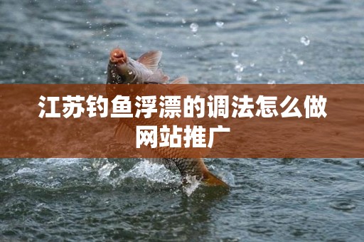 江苏钓鱼浮漂的调法怎么做网站推广