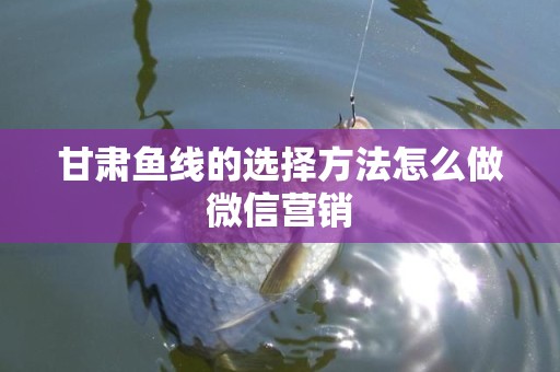 甘肃鱼线的选择方法怎么做微信营销