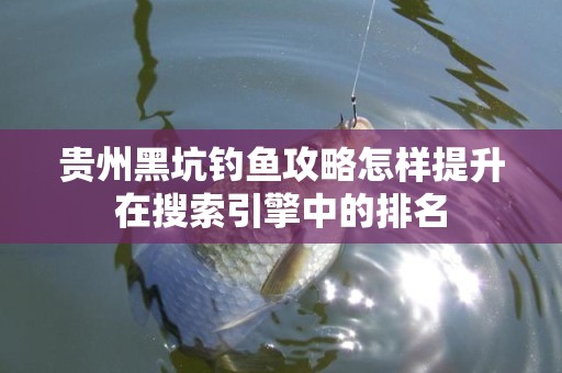 贵州黑坑钓鱼攻略怎样提升在搜索引擎中的排名