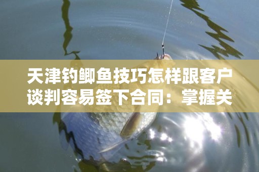 天津钓鲫鱼技巧怎样跟客户谈判容易签下合同：掌握关键策略