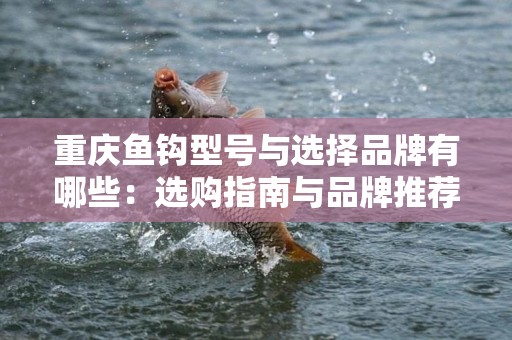 重庆鱼钩型号与选择品牌有哪些：选购指南与品牌推荐