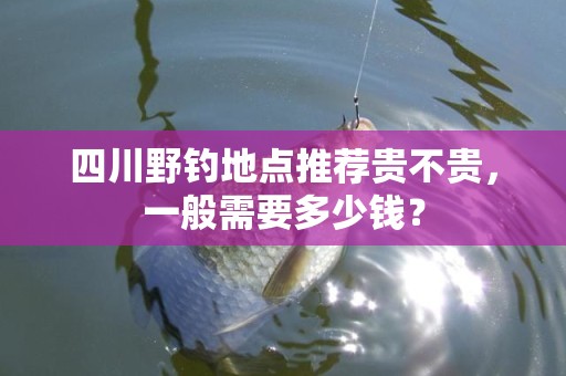 四川野钓地点推荐贵不贵，一般需要多少钱？