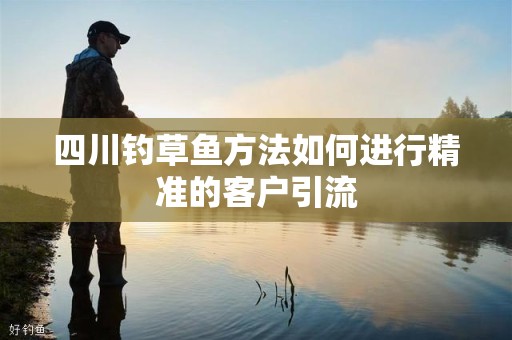 四川钓草鱼方法如何进行精准的客户引流