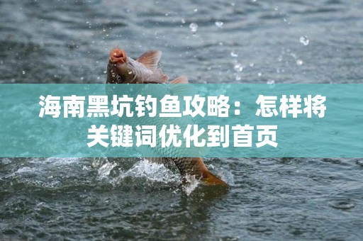 海南黑坑钓鱼攻略：怎样将关键词优化到首页