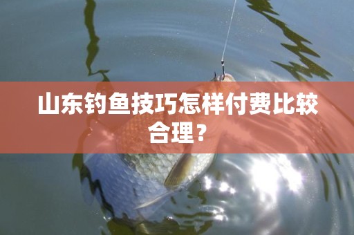 山东钓鱼技巧怎样付费比较合理？