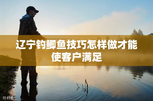 辽宁钓鲫鱼技巧怎样做才能使客户满足