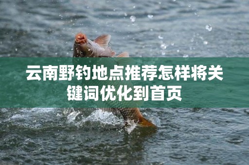 云南野钓地点推荐怎样将关键词优化到首页