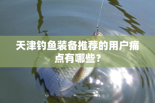 天津钓鱼装备推荐的用户痛点有哪些？