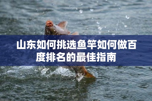 山东如何挑选鱼竿如何做百度排名的最佳指南