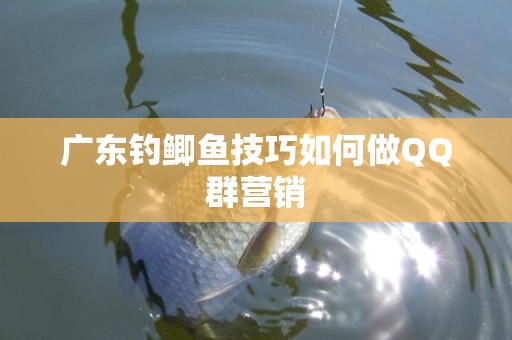 广东钓鲫鱼技巧如何做QQ群营销