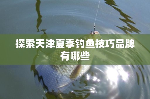 探索天津夏季钓鱼技巧品牌有哪些
