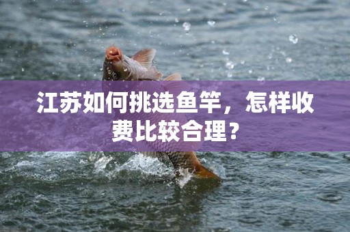江苏如何挑选鱼竿，怎样收费比较合理？
