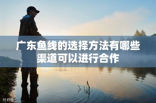 广东鱼线的选择方法有哪些渠道可以进行合作