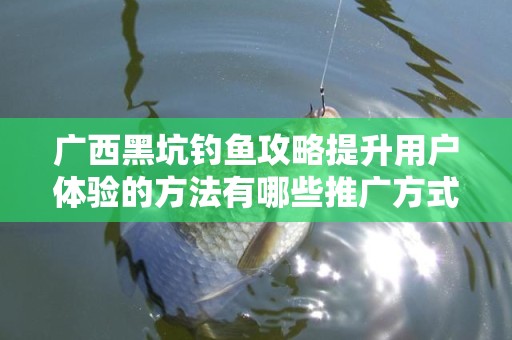 广西黑坑钓鱼攻略提升用户体验的方法有哪些推广方式有哪些