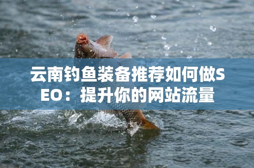 云南钓鱼装备推荐如何做SEO：提升你的网站流量
