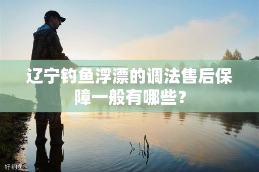 辽宁钓鱼浮漂的调法售后保障一般有哪些？
