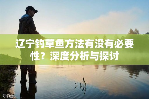 辽宁钓草鱼方法有没有必要性？深度分析与探讨