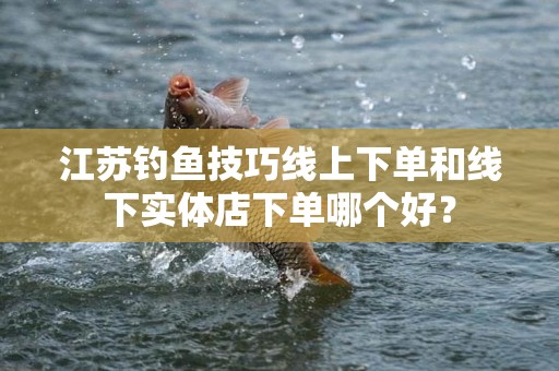江苏钓鱼技巧线上下单和线下实体店下单哪个好？