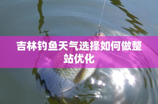 吉林钓鱼天气选择如何做整站优化