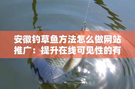 安徽钓草鱼方法怎么做网站推广：提升在线可见性的有效策略