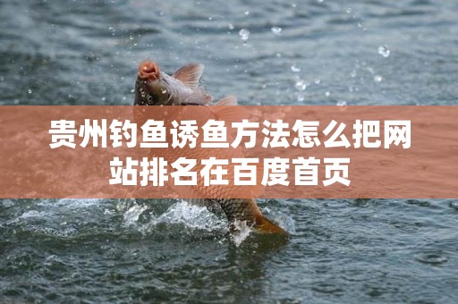 贵州钓鱼诱鱼方法怎么把网站排名在百度首页
