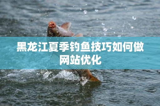 黑龙江夏季钓鱼技巧如何做网站优化